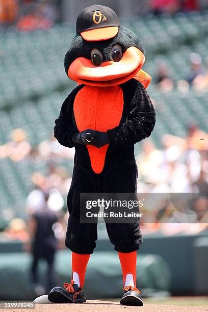 Oriole Bird Mascot Photos and Premium High Res Pictures - Getty Images