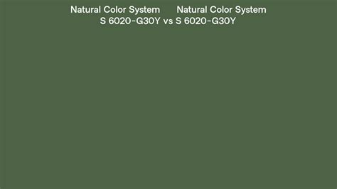 Natural Color System S 6020 G30y Vs S 6020 G30y Side By Side Comparison