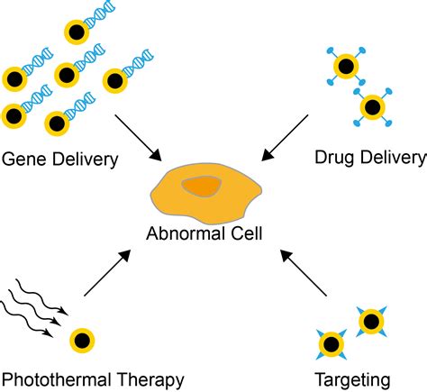 Properties and Applications of Gold Nanoshells - CD Bioparticles