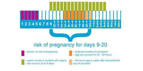 Can You Still Get Pregnant With A Condom Telegraph