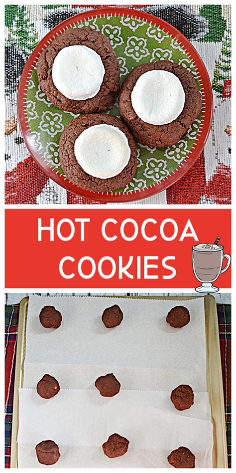 Hot Cocoa Cookies Hezzi D S Books And Cooks