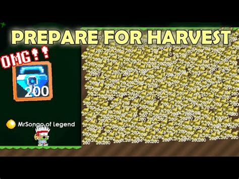 How To Prepare For Harvest Festival Get Bgl Omg Growtopia