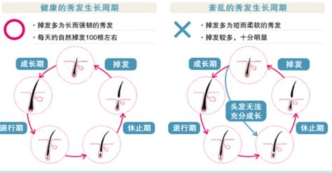 头发的生长周期是多久百度知道