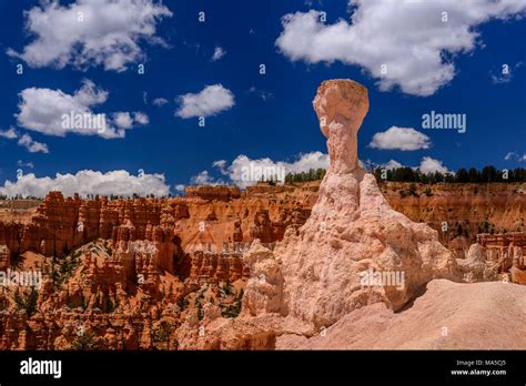 Usa Utah Garfield County Bryce Canyon National Park Amphitheater Hoodoo On The Queens