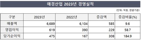 애경산업 작년 외형·내실 다 잡았다 딜사이트