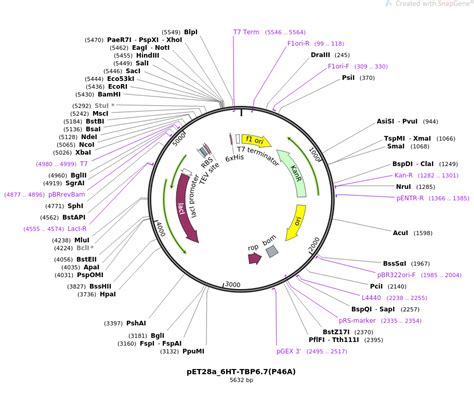 Addgene PET28a 6HT TBP6 7 P46A