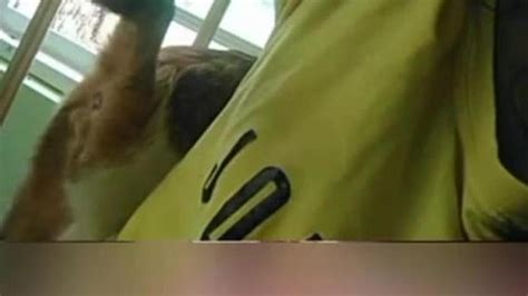 Cock Flash On Asian Girl Porn Videos