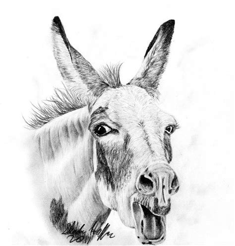 Donkey By Farfinmosker Horse Drawings Horse Painting Animal Paintings