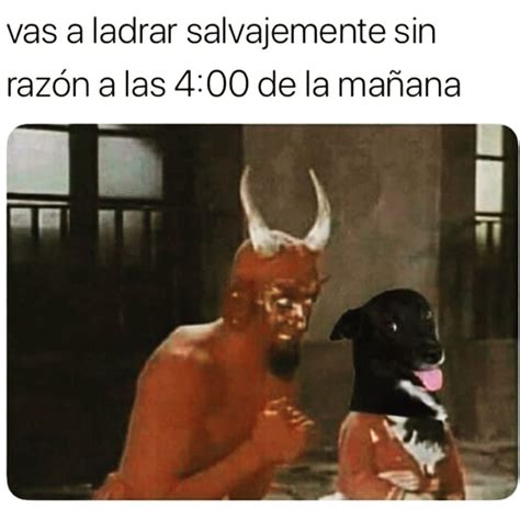 Mis Vecinos Cuando Ven Que Llego Con Alguien A La Casa Memes