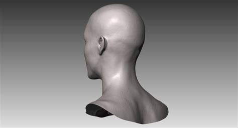 Realistic White Male And Female Head Bundle D Model Cgtrader