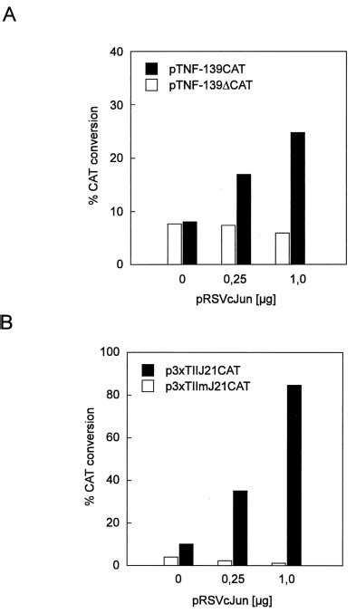 Regulation Of The Human Tnf Promoter By The Transcription Factor Ets