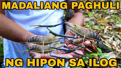 Mabilisang Panghuhuli Ng Hipon Sa Ilog Catching Shrimp In Romblon