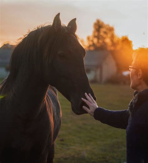 How To Treat Thrush In Horses Quickly & Naturally • Alternative Animal