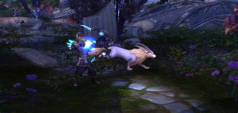 The Best Races For Hunters In World Of Warcraft 2024 Hgg