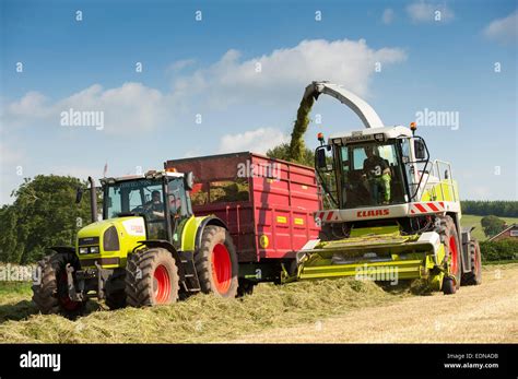 Claas Jaguar 850 Self Propelled Forager Chopping Grass And Loading