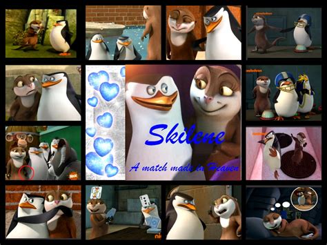 Skilene Collage Penguins Of Madagascar Fan Art Fanpop