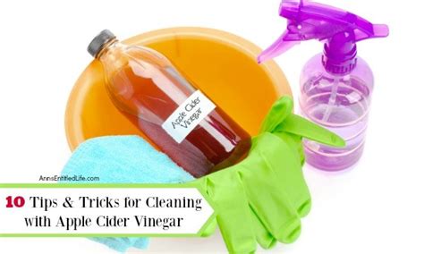 10 Tips And Tricks For Cleaning With Apple Cider Vinegar