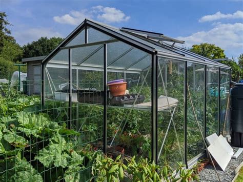 3 Greenhouse supplies you absolutely need – Greenhouse Hunt