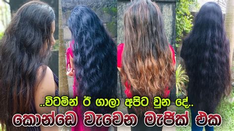 විටමින් E ගාලා අපිට වුන දේ😱කොන්ඩෙ වැවෙන මැජික් එක Vitamin E Capsules For Hair Vitamin E