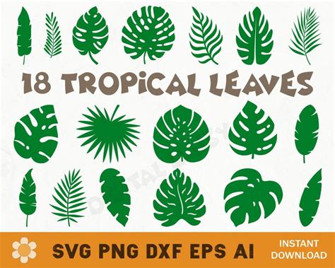 Tropical Leaves Svg Bundle Tropical Leaf Svg Monstera Leaf Svg Palm