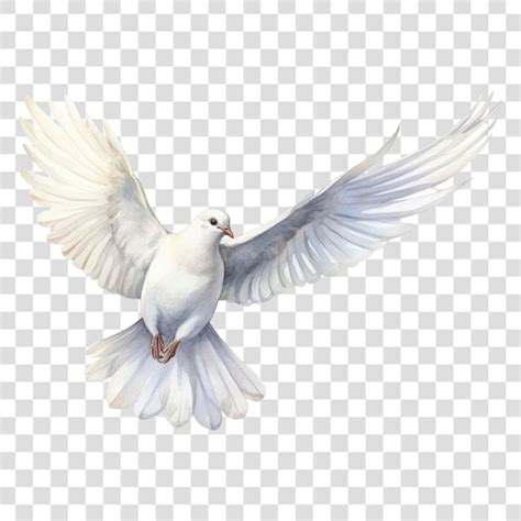 Elegant White Dove In Flight Premium Ai Generated Psd