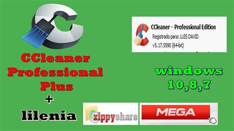 Descargar E Instalar Ccleaner Professional Plus Full Espa Ol Youtube