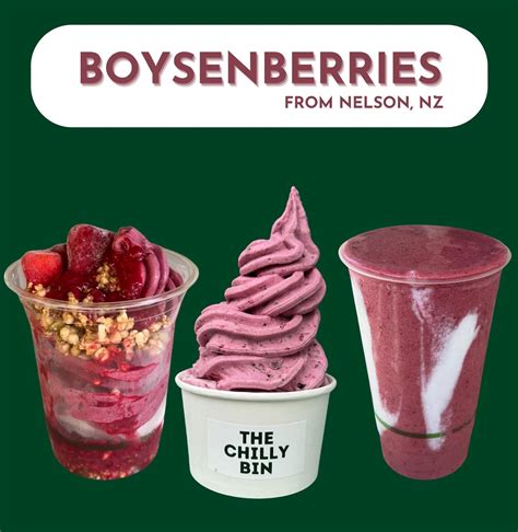 chilly bin atchillybinicecream instagram