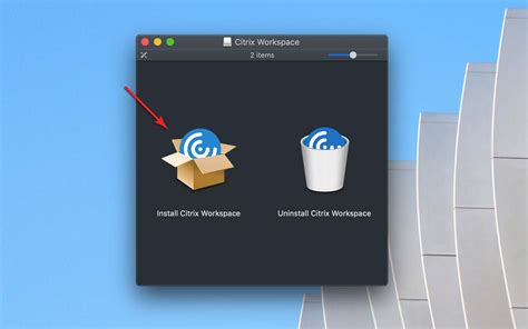 Remove Citrix Workspace Mac Harewigo