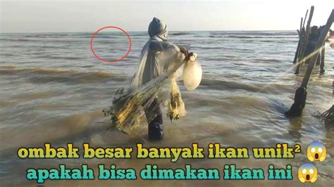 ngeri jala ikan di laut malah dapat ikan aneh² bentuknya unik²