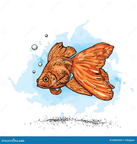 Goldfish Vintage Sketch Cartoon Vector Cartoondealer