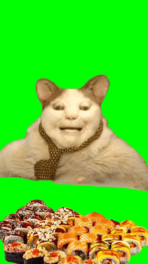 Boo Scared Dont Be Afraid Cat Meme Green Screen Video Download Mp4