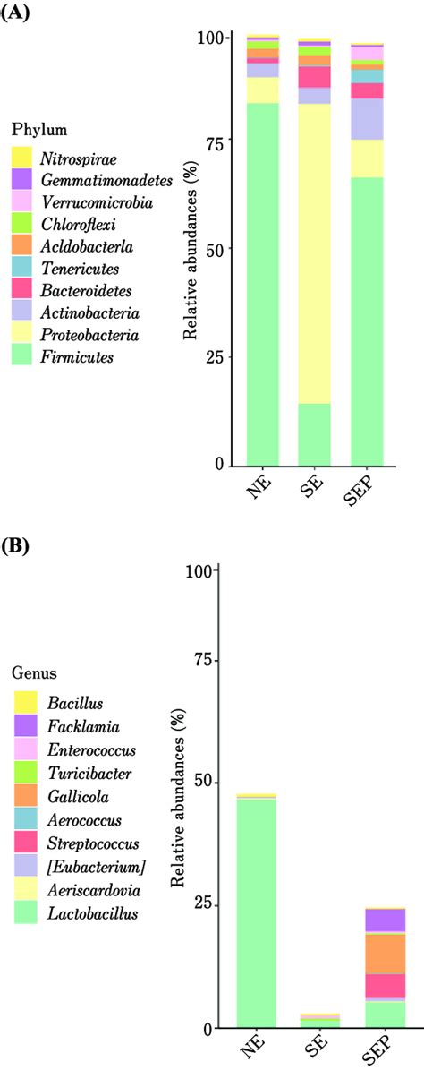 The Relative Abundances Of Dominant Bacterial Phyla A And Genera B