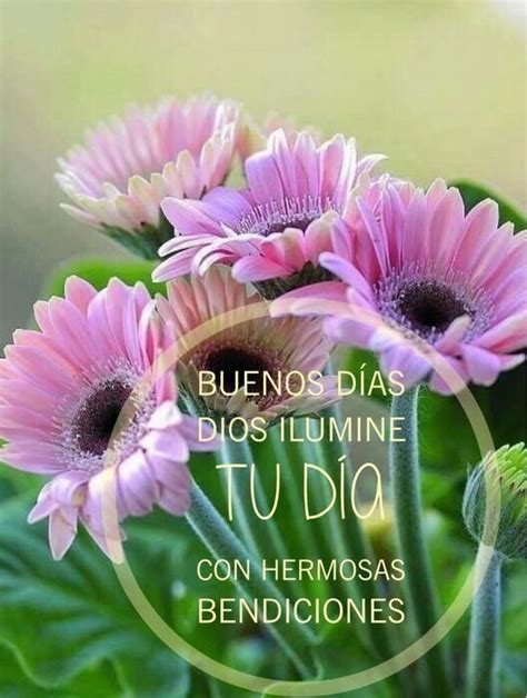 Top 39 imagen imágenes de flores hermosas con frases de buenos días