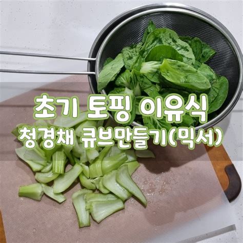 초기 청경채이유식 청경채 토핑만들기잎채소 믹서기 사용 물양 실패 네이버 블로그