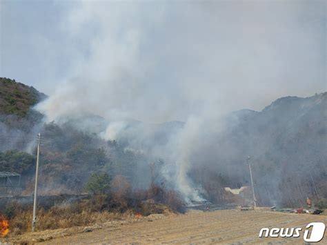 고흥 영남면 야산서 불1시간34분 만에 주불 진화종합 네이트 뉴스