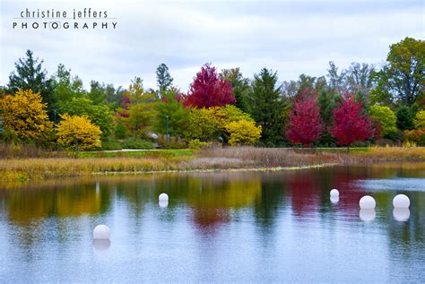 Fall Colors At The Morton Arboretum Flickr