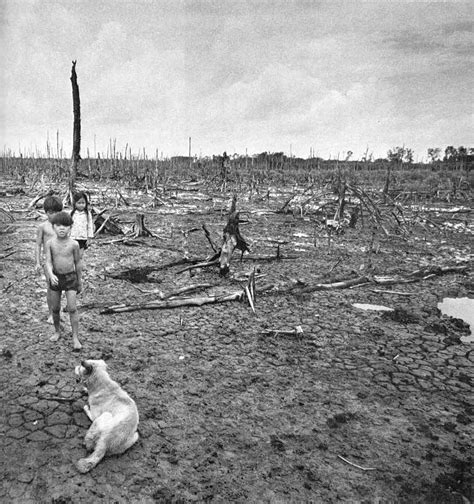 The Effects Of Agent Orange On The Vietnamese Landscape 1976 By Goro