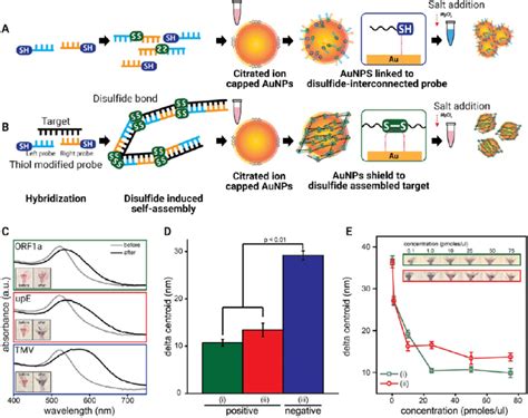 Colorimetric Detection Of Dna Using Gold Nanoparticles Aunps A