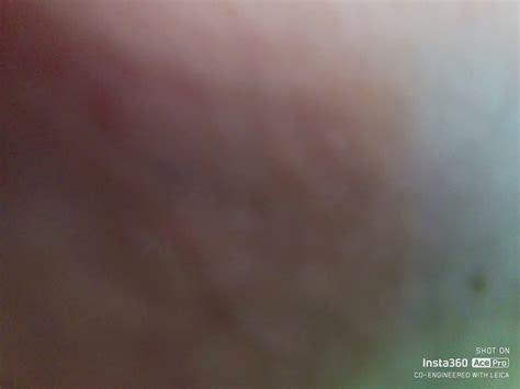 FAT ASS BIGGBUTT2XL GETS FUCKED AGAIN IN PHILLY BoyFriendTV