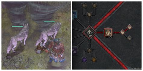 Diablo Druid Leveling Guide