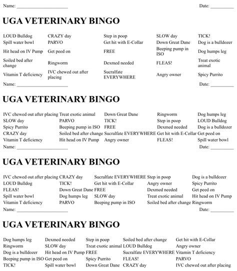 Animal Terminology Bingo Cards Wordmint