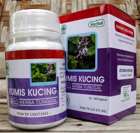 Jual Kapsul Kumis Kucing Di Denpasar Bali Jual Produk Herbal Di