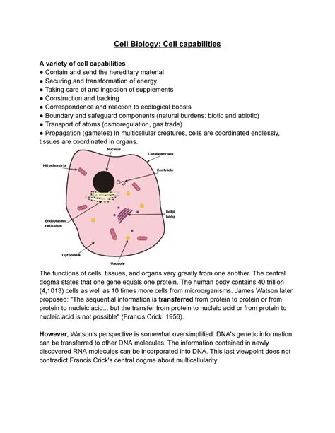 Cell Biology Cell capabilities - The functions of cells, tissues, and organs vary greatly from ...