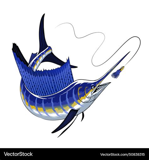 Atlantic Sailfish Chasing The Fishing Lure Vector Image