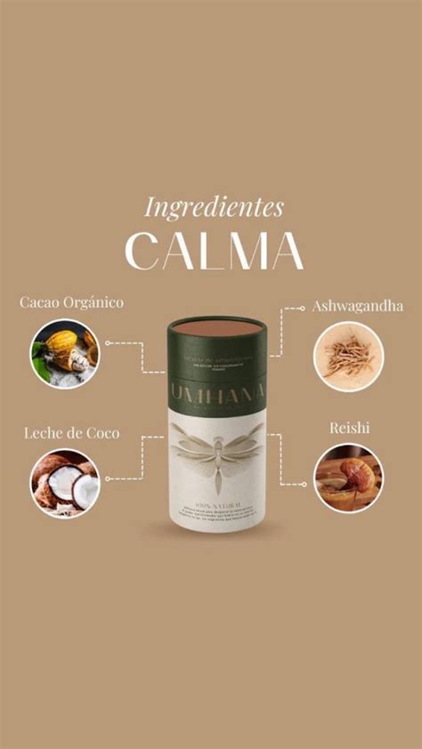 Refill Calma Reishi Ashwagandha Cacao Merkabah Tienda Online