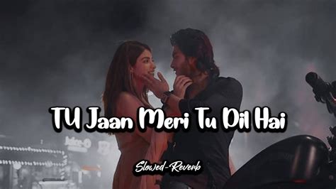 Tu Jaan Meri Tu Dil Hai Song Slowed And Reverb Sad Lofi Youtube