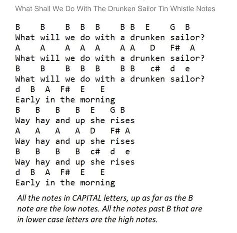 What Shall We Do With A Drunken Sailor Tin Whistle Tin Whistle Learn