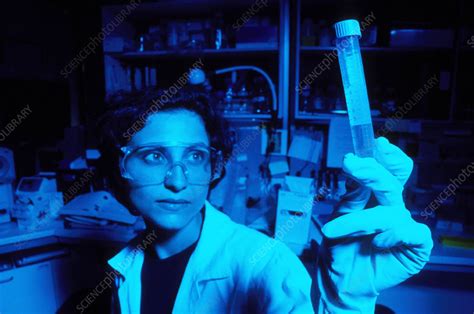 Genetics Research Stock Image G210 1159 Science Photo Library