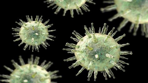 Epstein Barr Virus And Associated Ailments Gktoday