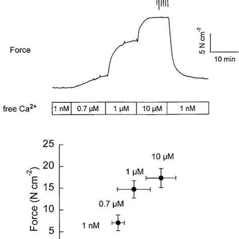 Top Representative Tracing Showing Concentration Dependent Effect Of